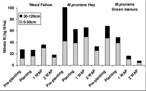 Total Soil Nitrate In The And Cm Soil Depth At The Four