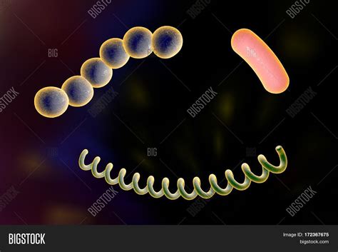 Imagen y foto Bacteria Different (prueba gratis) | Bigstock