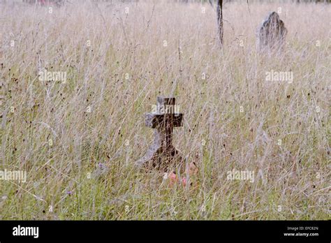 Neglected Grave Buried In Long Grass At Bedford Cemetery Bedford