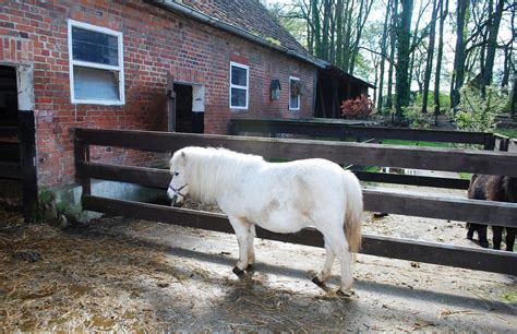 Small White Horse Barn - Free photo on Pixabay - Pixabay