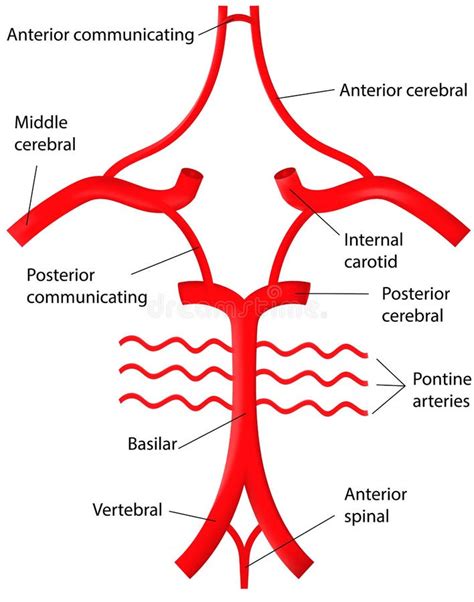Diagram Circle Willis Stock Illustrations – 16 Diagram Circle Willis
