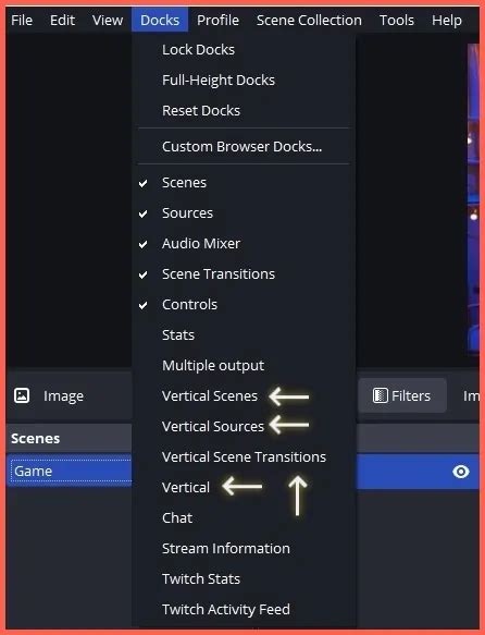 set  vertical video  obs