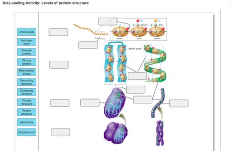 Fajarv: Protein Structure Diagram