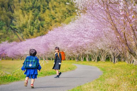 【肝付町】南国で一番！子育てに人気のまち 「田舎暮らしセミナー」 2月25日（土） かごしま移住ネット