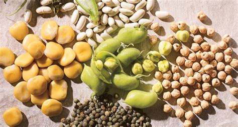 Top Legumes for Plant-Based Protein - AskMeAll