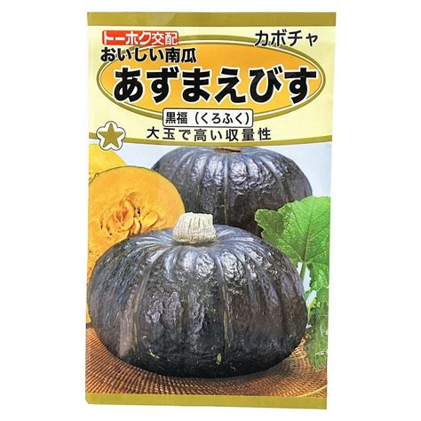 F1おいしい南瓜 あずまえびす黒福販売終了 花＆グリーン 通販 ホームセンターのカインズ