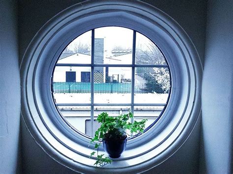 Circular Window | Windows, Circular, Explore