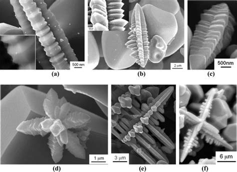 Various Morphologies Of Tin Dendrites