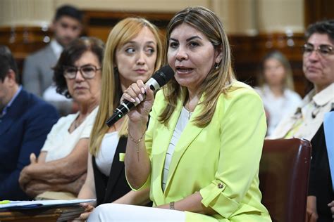 Avanza La Modificaci N A Las Pensiones No Contributivas Por Discapacidad