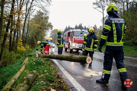 Baum stürzte auf zwei fahrende PKW s Bezirk Grieskirchen