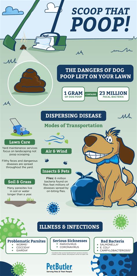 Is There E Coli In Dog Poop