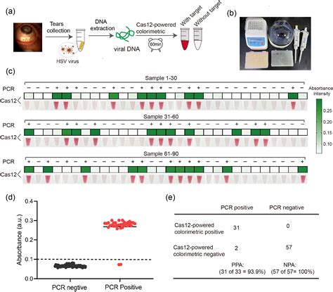 Highly Sensitive And Naked Eye Detection Of Herpes Simplex Virus Type 1