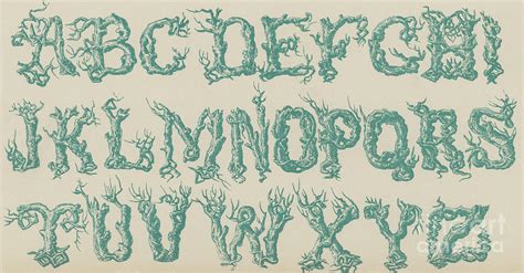 Rustic Vine Font Capital Letters Drawing By English School Pixels