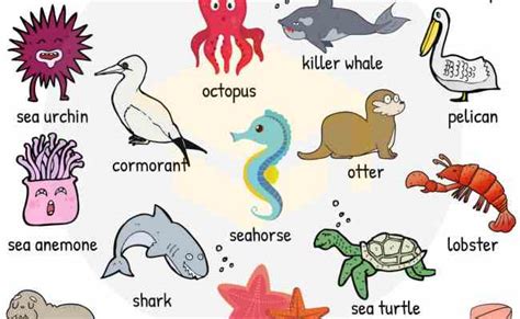 Water Animals Chart With Names Pocket Guide Site