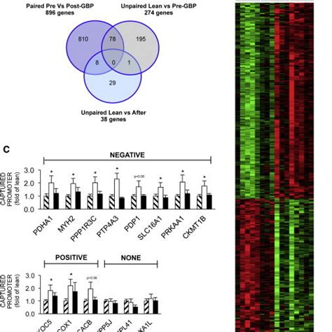 Genome Wide Methylation Analysis By Mbd Seq Download Scientific Diagram