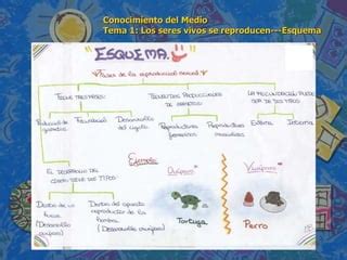 Conocimiento Del Medio De Primaria Tema Los Seres Vivos Se