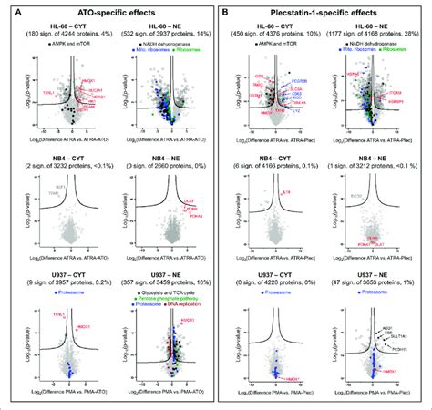 Volcano Plots Of HL 60 NB4 And U937 Cancer Cell Lines Treated With