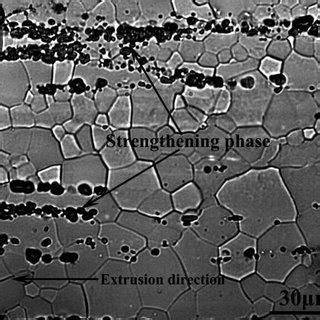 A Microstructure Of The Hot Extruded Alloy Along The Extrusion