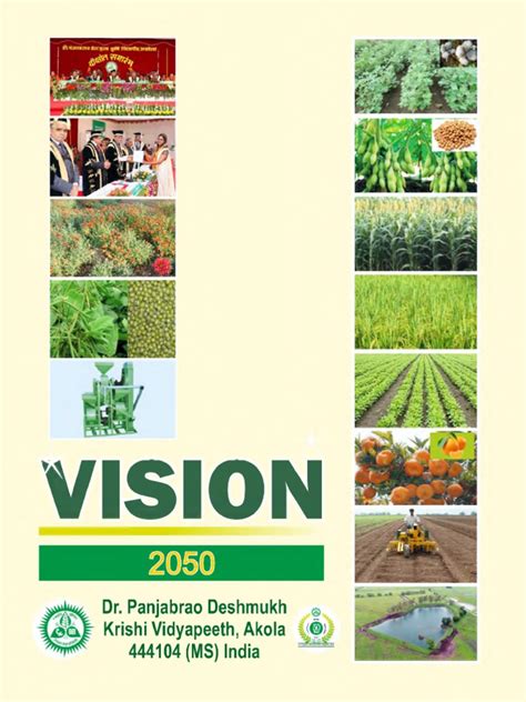 Vision 2050 | PDF