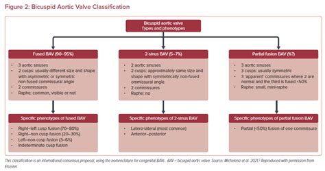 Bicuspid Aortic Valve Classification | Radcliffe Cardiology