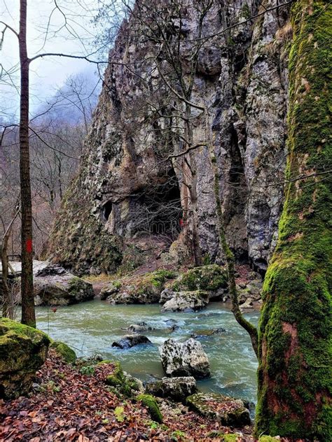 Cave in forest stock photo. Image of forest, hike, green - 263104294