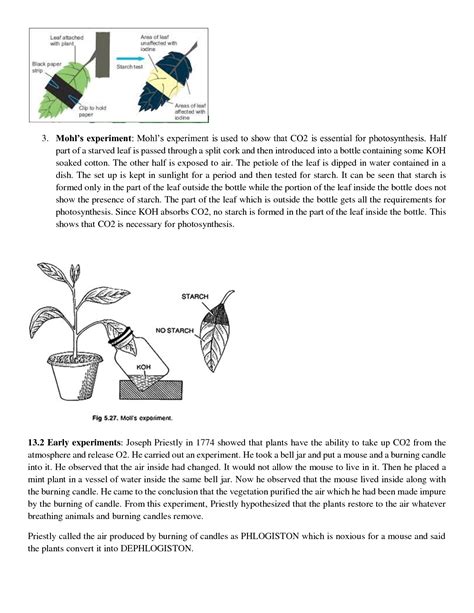 SOLUTION Photosynthesis In Higher Plants Notes Biology Studypool