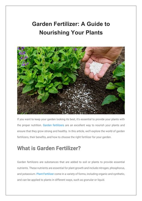 Garden Fertilizer: A Guide to Nourishing Your Plants by Roots Shoots ...