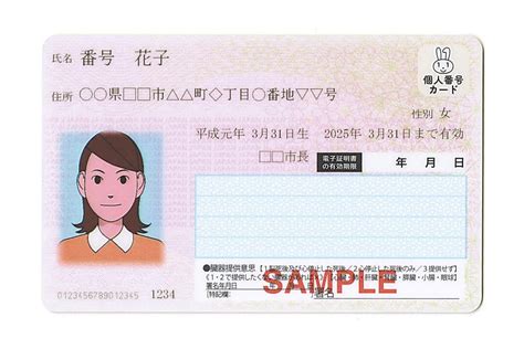 Govt Plans Online Birth Registration The Japan News