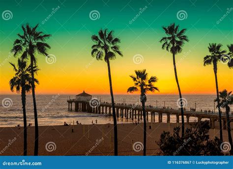 Palm Trees and Pier on Manhattan Beach at Sunset in California, Los ...