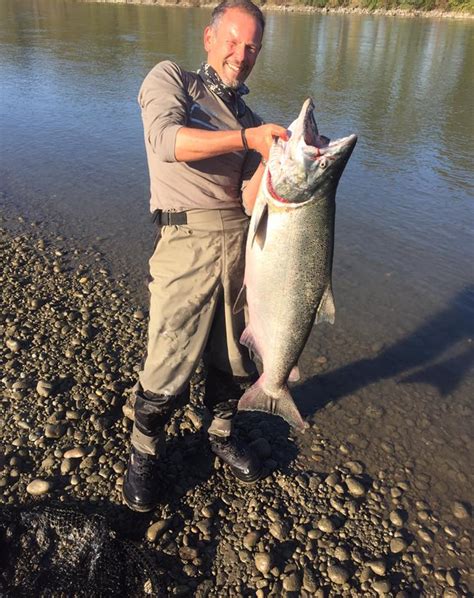 Big Chinook Salmon caught on Fraser River - Silversides Fishing Adventures