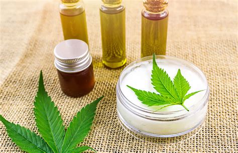 Alles Was Man Ber Cbd Wissen Muss Kleiner Ratgeber