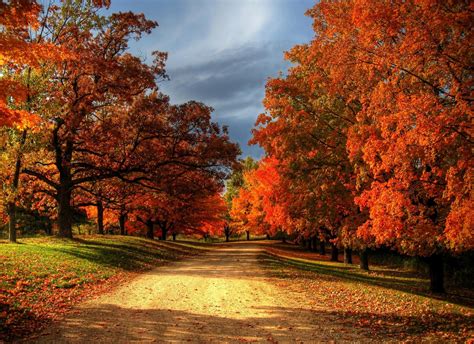 brace  fall  coming