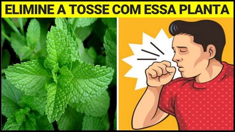 Xarope Caseiro Para Acabar A Tosse Gripe E Todo O Catarro Youtube