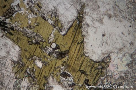 Biotite thin section - Phyllosilicates - MicROCKScopic