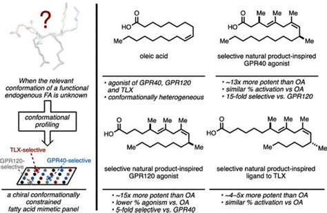 通过构象分析从功能性脂肪酸到有效且选择性的天然产物模拟物 ACS Central Science X MOL