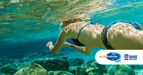 Snorkeling | 7 tips before diving into the crystal clear water!