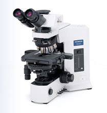 The Versatile Olympus BX51 Microscope