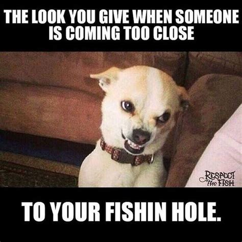 Funny Fishing Memes and Pictures