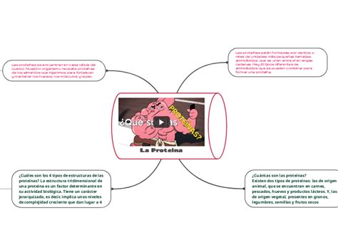 La Proteina Mind Map