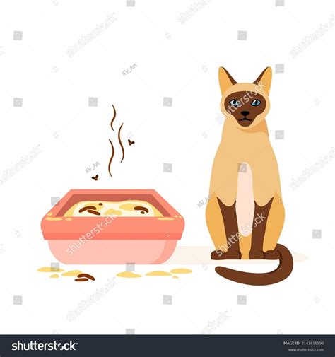 Cat Not Using Dirty Litter Box Stock Vector (Royalty Free) 2141616993