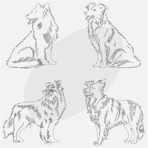 Hand drawn dog outline illustration 43770678 Vector Art at Vecteezy