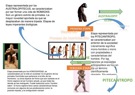 Mapa mental Historia de la evolución humana AUSTRALOPIT ECUS