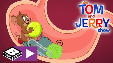 Tom jerry cartoon videos youtube - rocstage