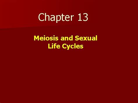 Chapter 13 Meiosis And Sexual Life Cycles Living