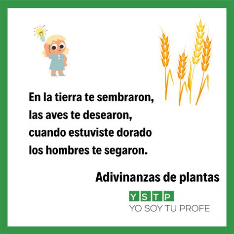 10 Adivinanzas De Plantas Para Pasar Un Divertido Rato En Familia Yo