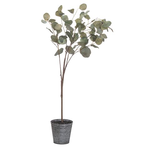 Eucalyptus Tree In Metalic Pot Wholesale By Hill Interiors