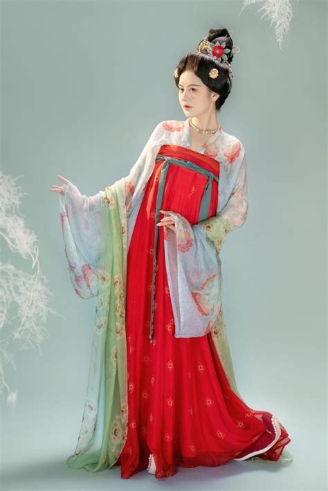 Hanfu漢服 China Tang Dynasty Chinese Traditional Clothing Hanfu