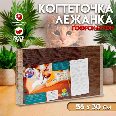 Когтеточки и комплексы для кошек купить, цены на когтеточки и комплексы ...