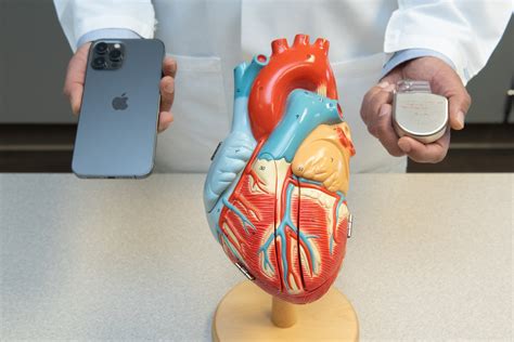 iPhone 12 can disable implanted cardiac devices, cardiologists warn
