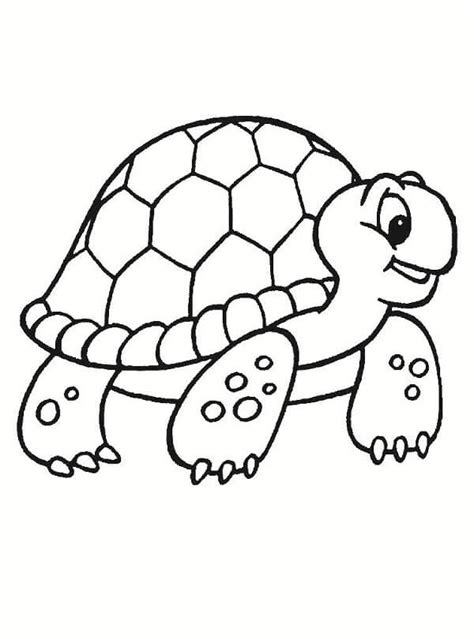 Dibujos De Tortugas Para Pintar Y Colorear Imágenes Para Pintar